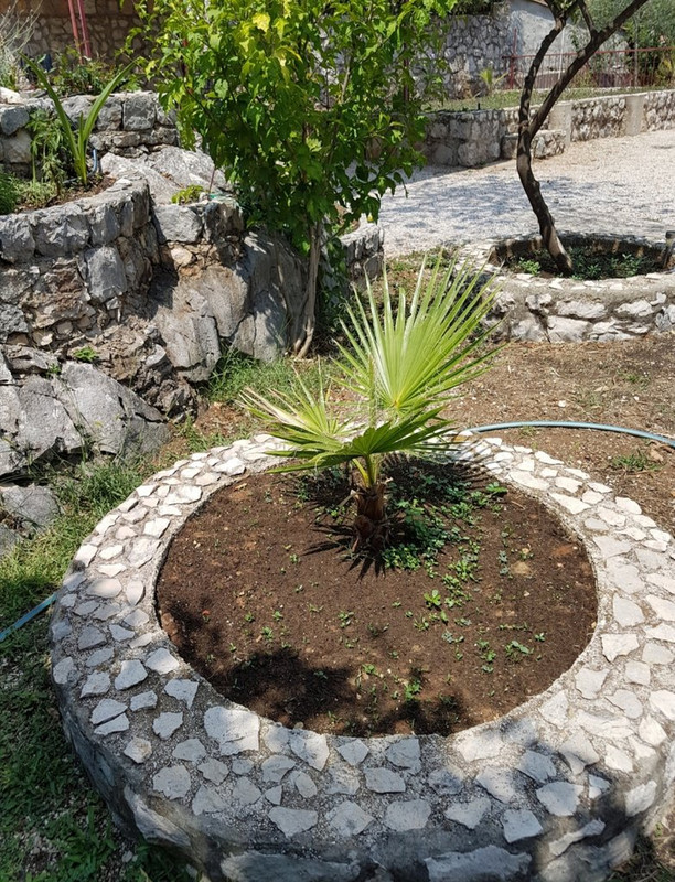 Screenshot_20210208_235640