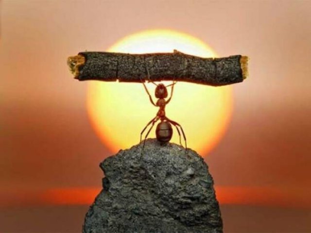 Sorprendente-35
