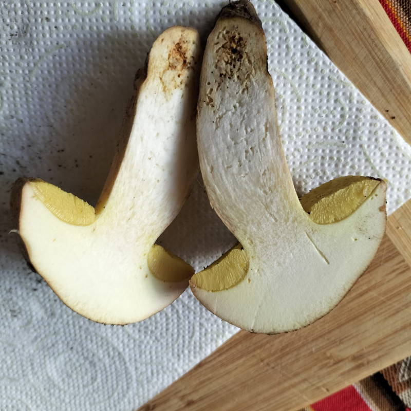 WhatsApp Image 2022-11-27 at 11.59.07(1)