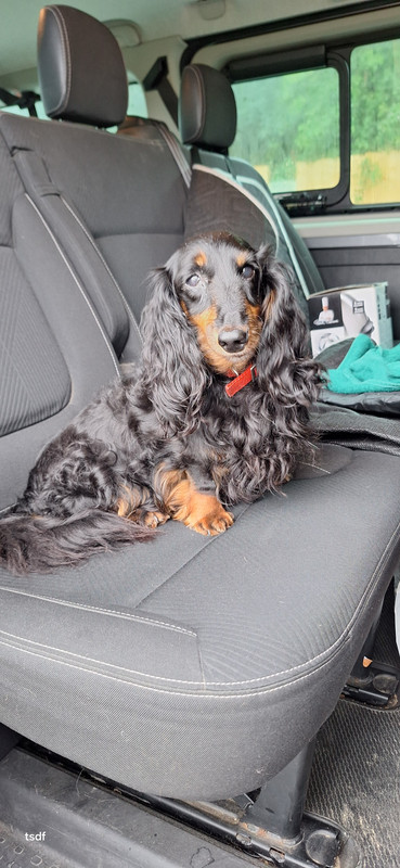 [Image: 20250831-145632.jpg]