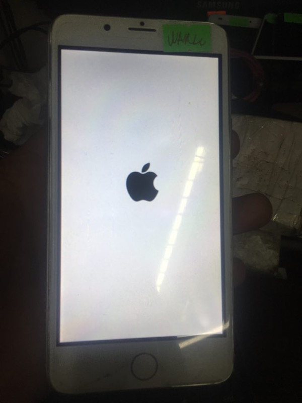 43878773_552046348581452_8000406066691047424_n