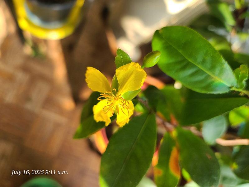 [Image: 20250716-091102.jpg]