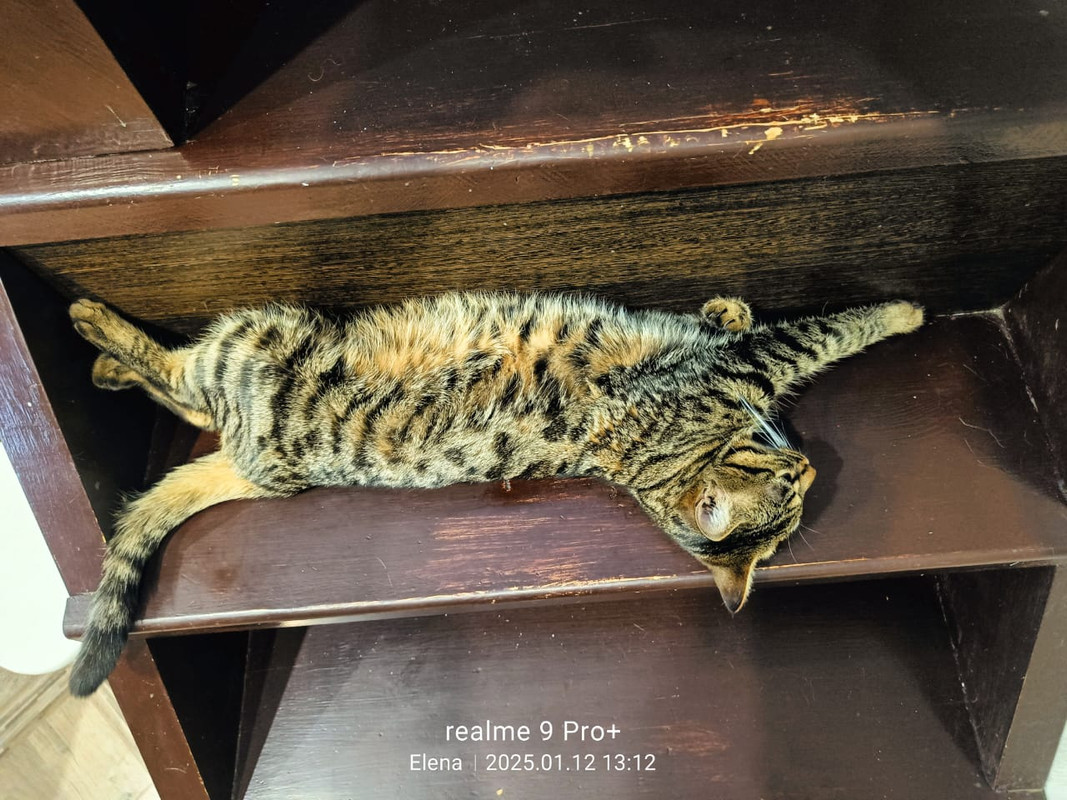 WhatsApp Image 2025-01-14 at 10.54.29 (2)