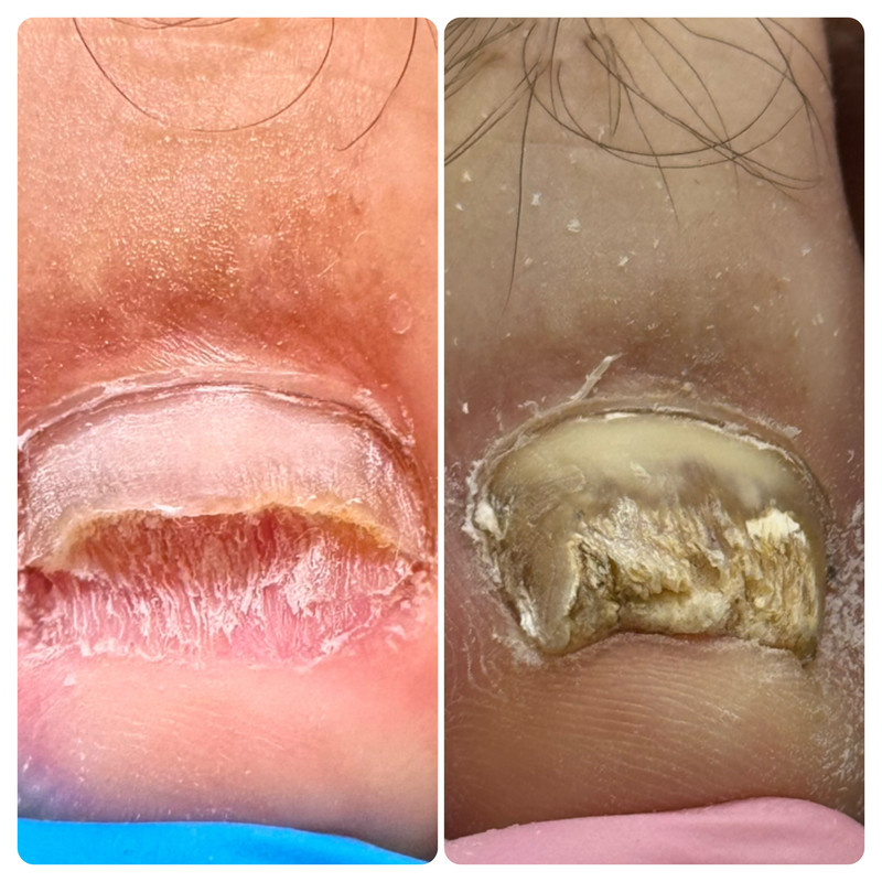 подология новая 4