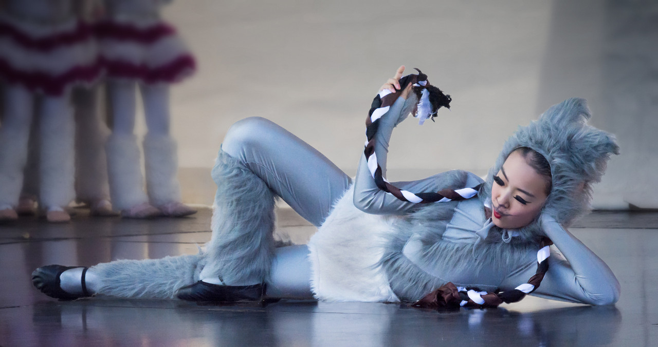 33167222628_8704035611_h (2)