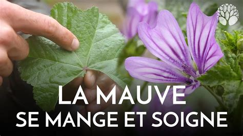 Cap ou pas Cap ? Questions