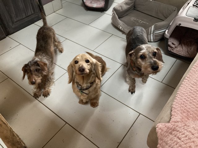 [Image: IMG-0970.jpg]