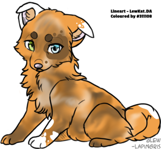 2024-07-14-0sr-Kleki.png