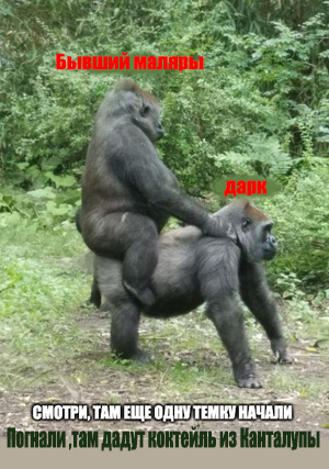 darkiredmarlubatkantalupu.jpg