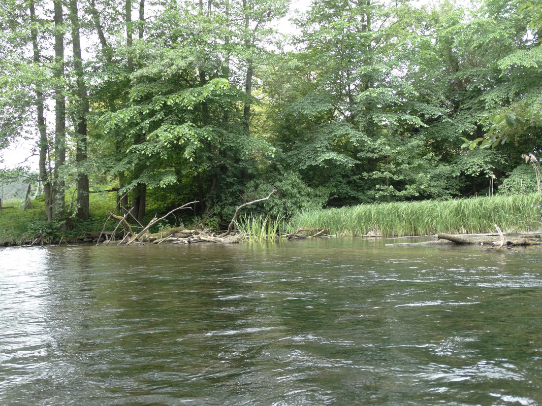 16 - DSC03935 (Czesio1)