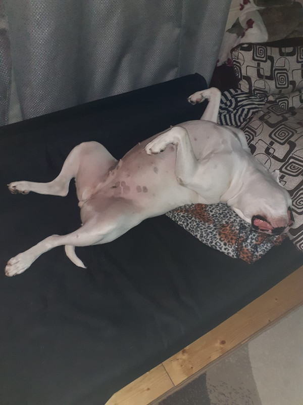 B48B4F39-5FD9-4655-B90F-0B768307139D