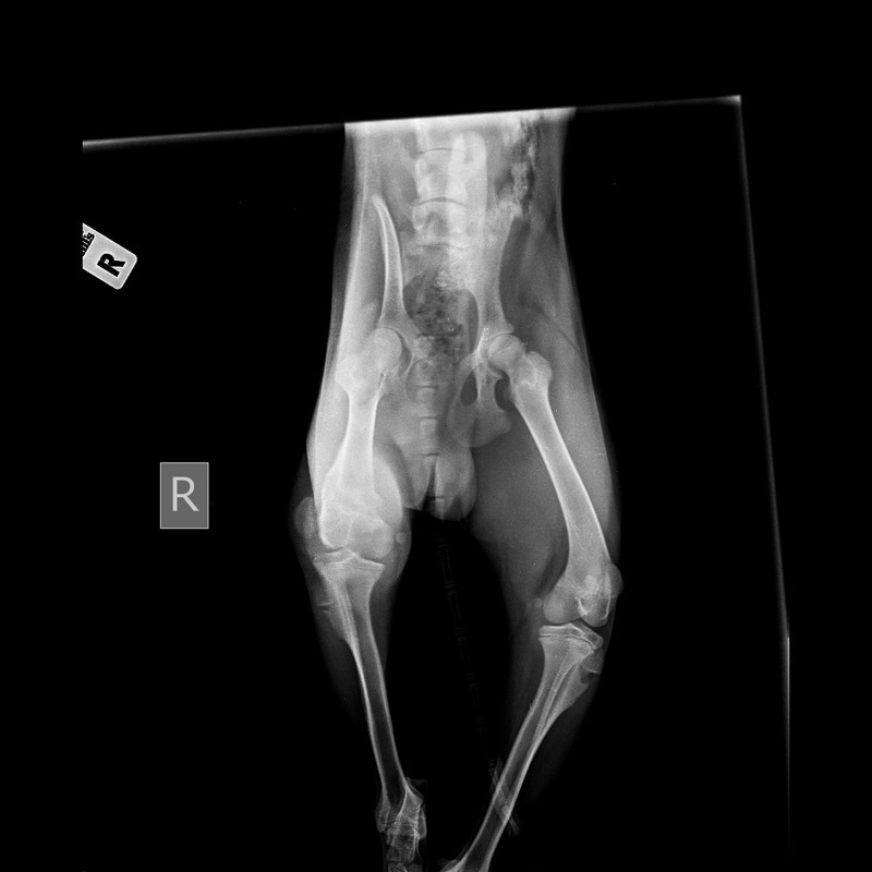 9676353A-6E24-4DD1-9DF6-1A84DAA37CDF