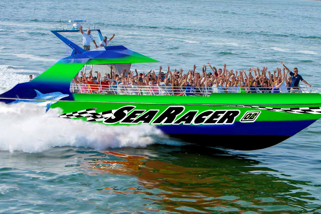 Dolphin Cruise