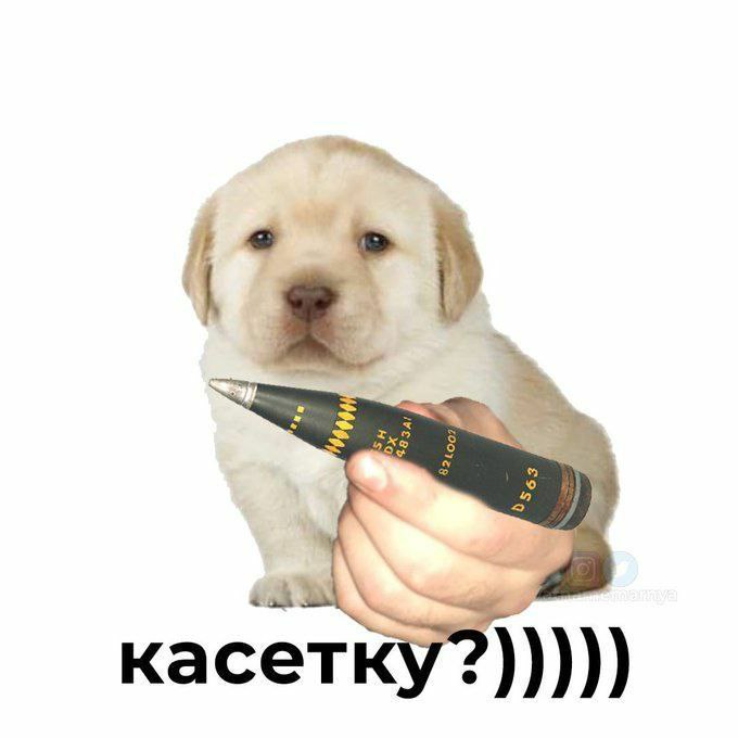https://i.postimg.cc/TPNtbRPW/D564-kassetku.jpg