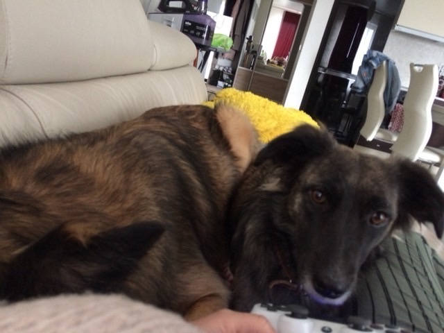 44D20D2F-EA4A-4F1A-B5BC-39ABAF84FA01