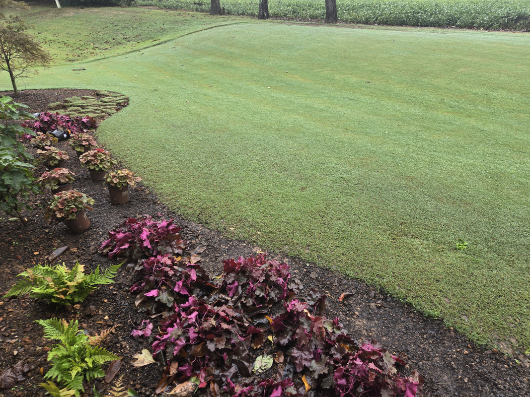 17275429700911214989101392064897