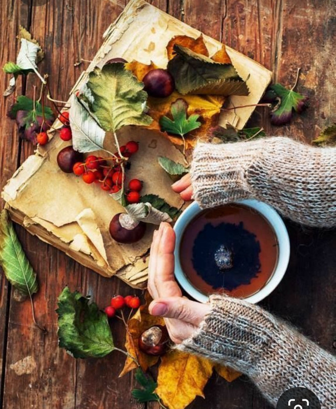 Screenshot_20231008_224219_Pinterest