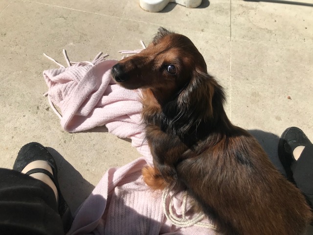 [Image: IMG-2933.jpg]