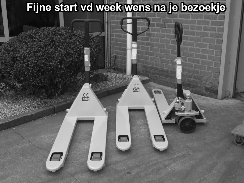 6e.jpg
