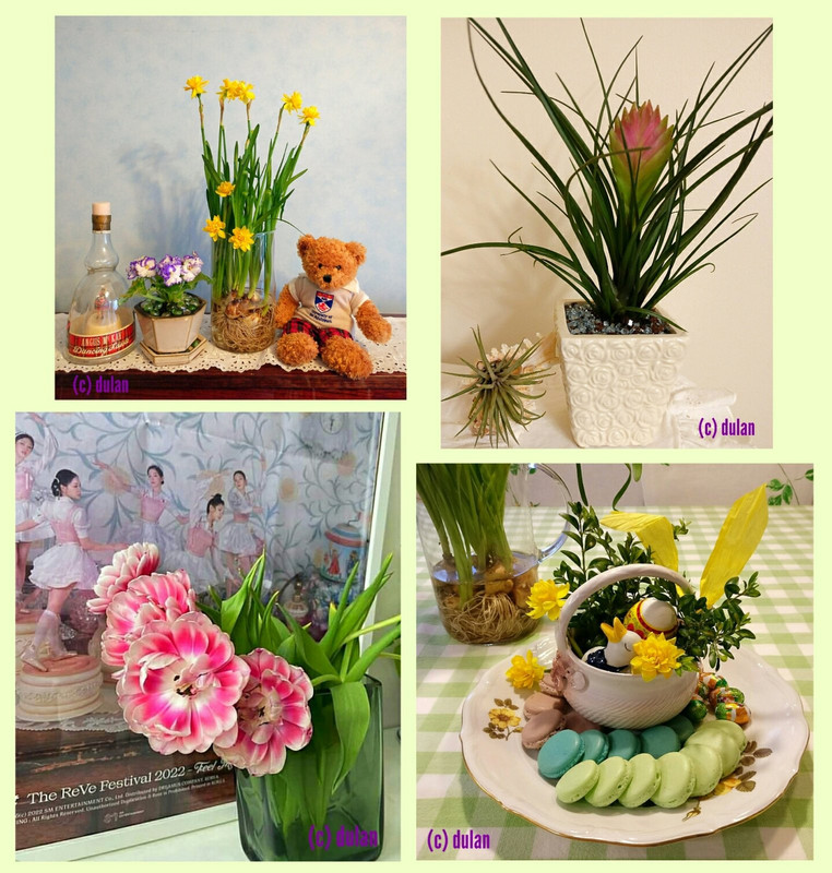 [Image: IMG-20240331-021601.jpg]