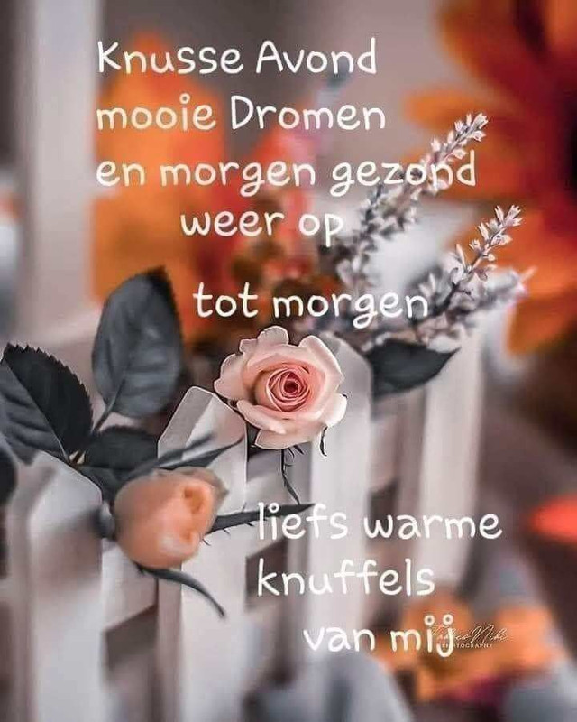 2577e2245a4a53fb9e70d789dc354fa3