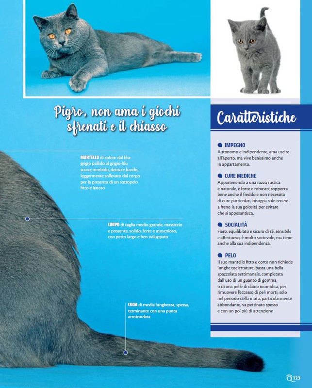 QuattroZampe Ott 2022 (12)