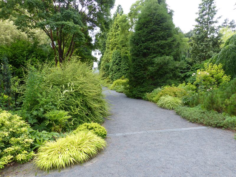 2014-07-13 Arboretum Härle 9