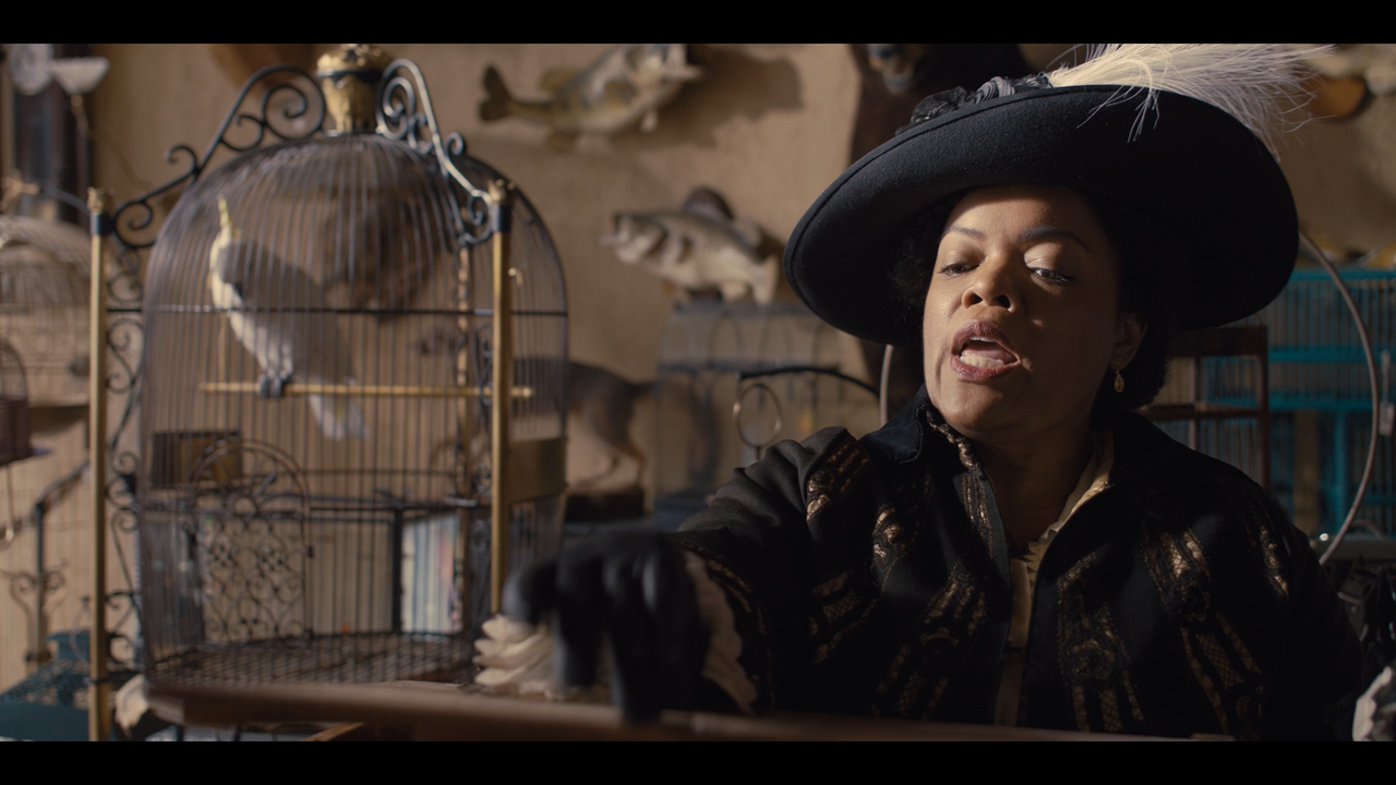 Lady and the Tramp [1080p]_Video