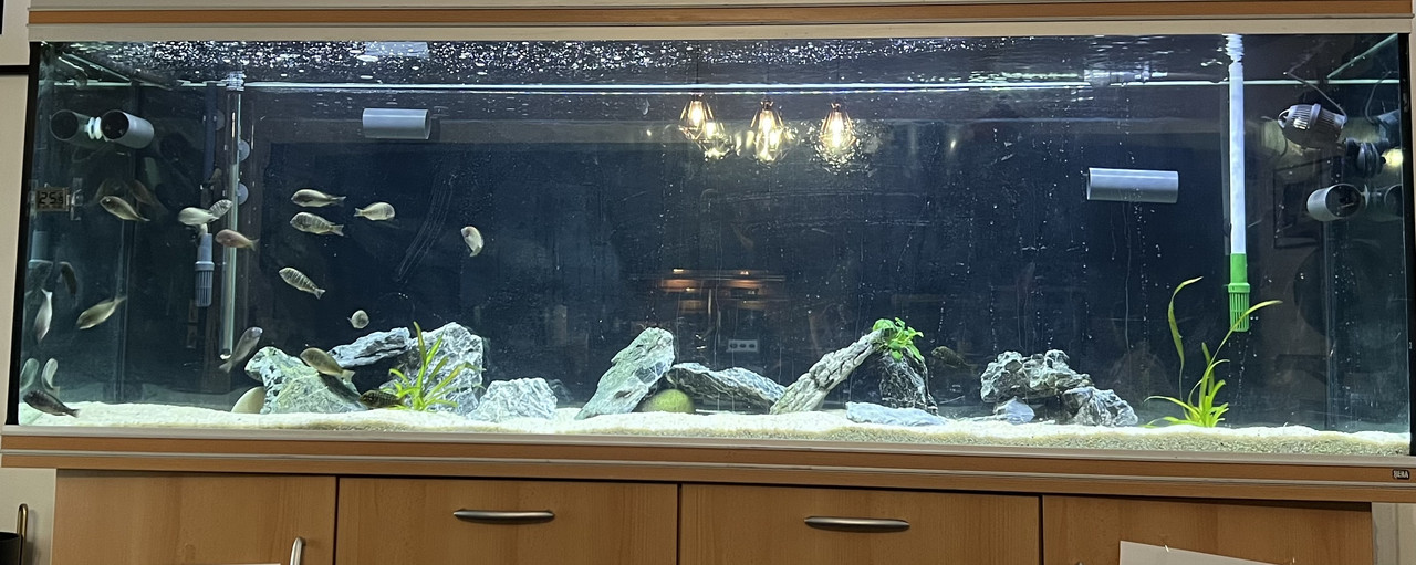 28A0A6F2-F6D7-46C2-AA6B-D0AD916BF92A