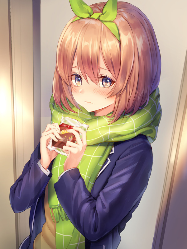 nakano-yotsuba-go-toubun-no-hanayome-drawn-by-nogi-momoko-7a8f6e4f1053f8c49267b88b1fcecf26