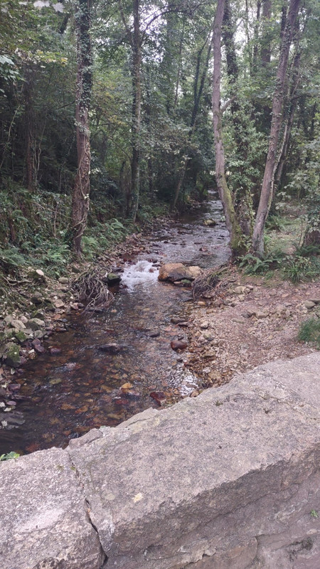 10f8e2bf-fe71-4c6b-bd75-7ea3051ffef2