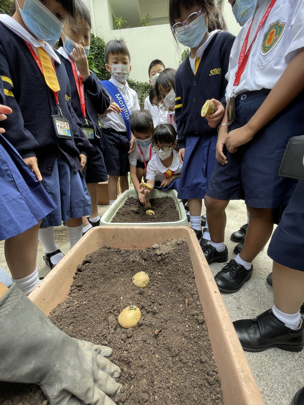 photo-littlefarmer2223-1B-009