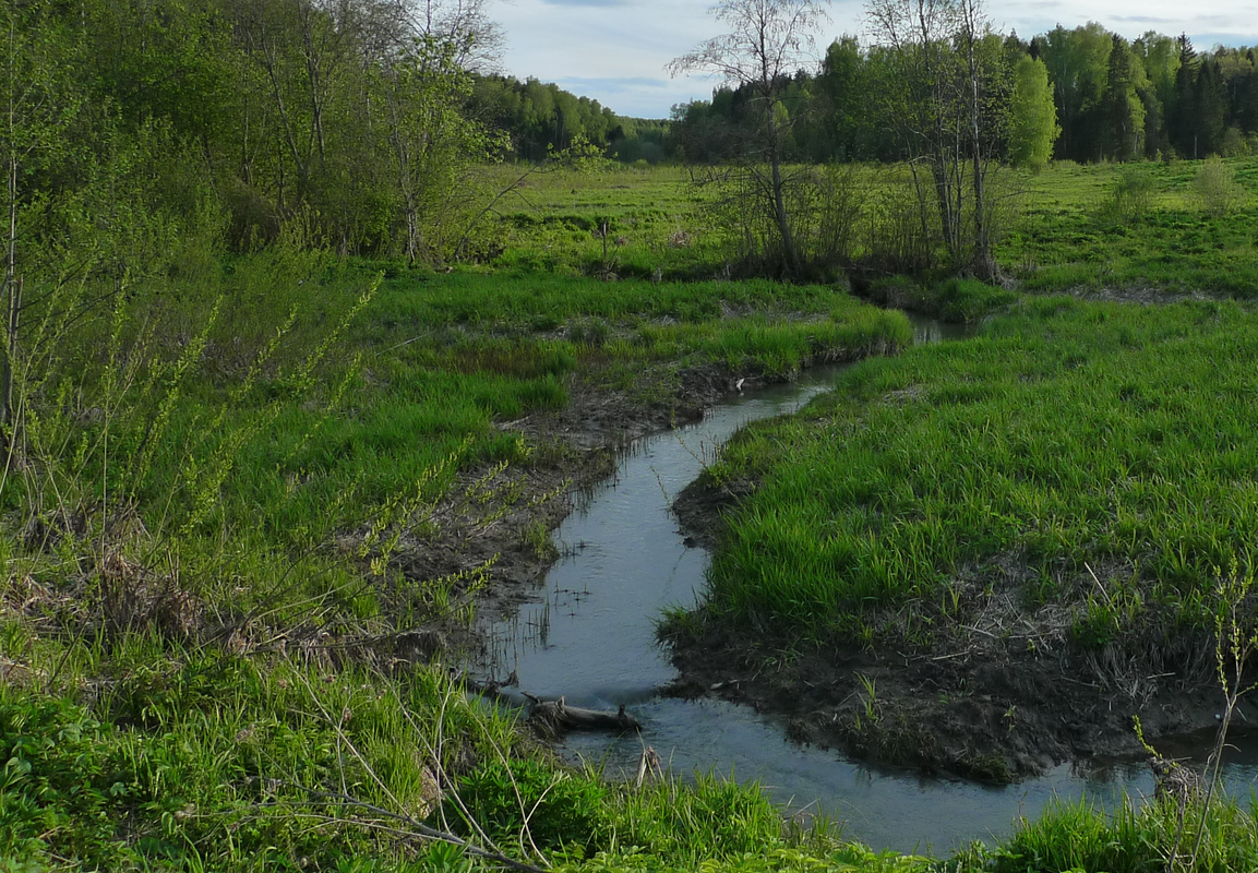 photoeditorsdk-export (2)