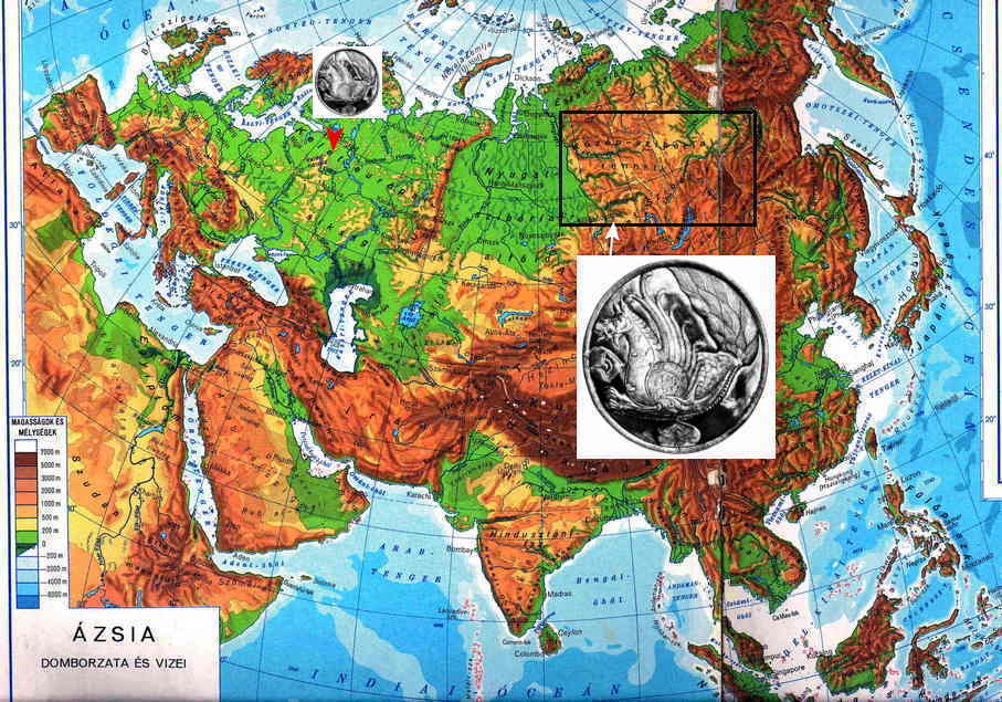03-D-zsia-domborzata.jpg