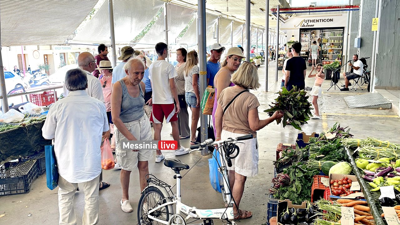 IMG-0604