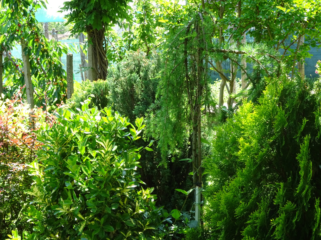 DSC02360