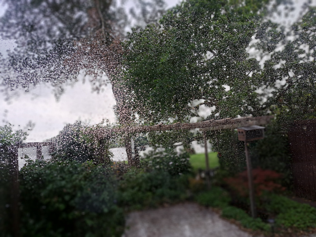 regen6