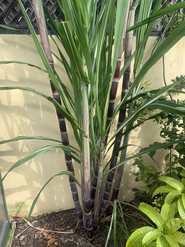 44EB1574-7F34-4918-85C1-2D3FB2D40CA4