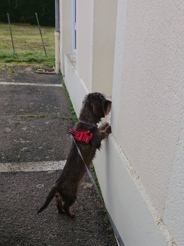 [Image: DSC-2464.jpg]