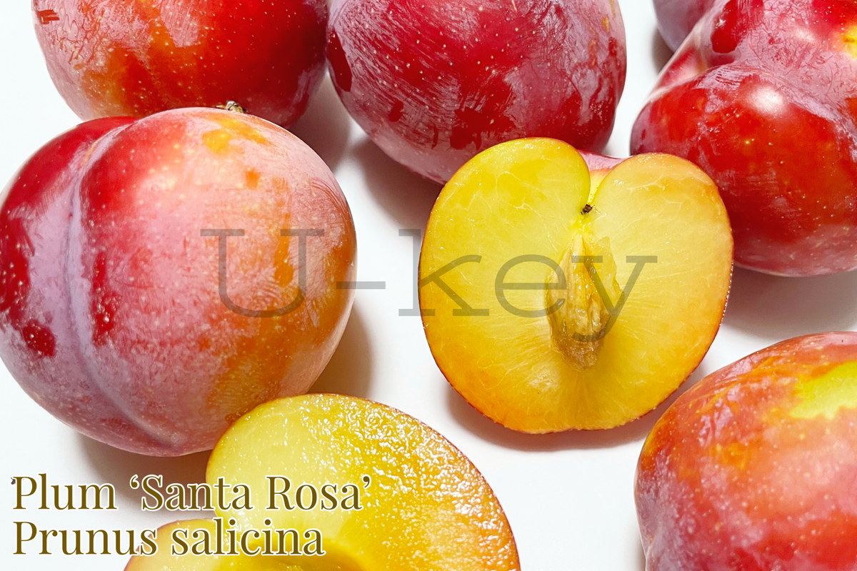 007690ED-0DA2-4C0B-9D3D-554510F426F5