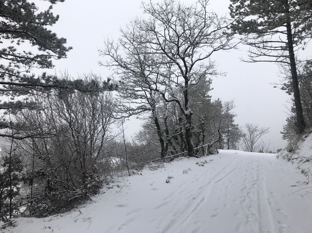 B06B777F-1711-4CA4-8756-250B959FB116