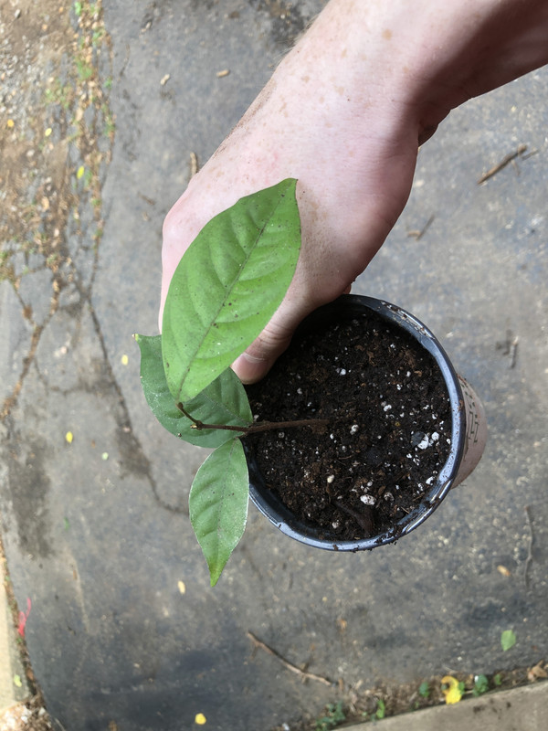 7932A379-6F08-4AB7-91C2-30A5FD35EF50