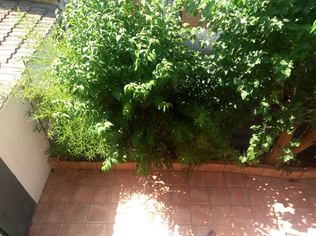 IMG_20190825_131106001 (1)