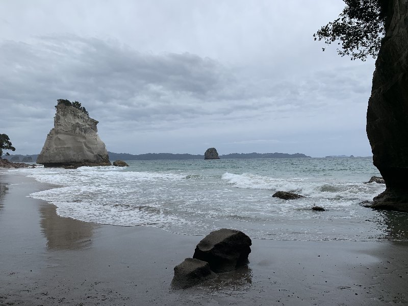 Whitianga-Matamata - Nueva Zelanda: La primavera Kiwi nos fue marcando la ruta (4)