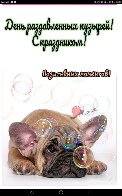 Screenshot_2023-10-19-12-36-40