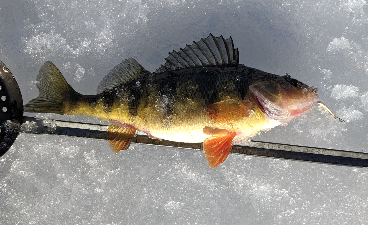 Screenshot 2026 03 01 at 6 53 45 AM