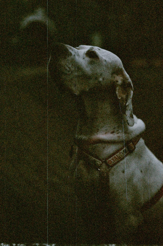 ED8C9686-4649-4895-870A-452209E7828A