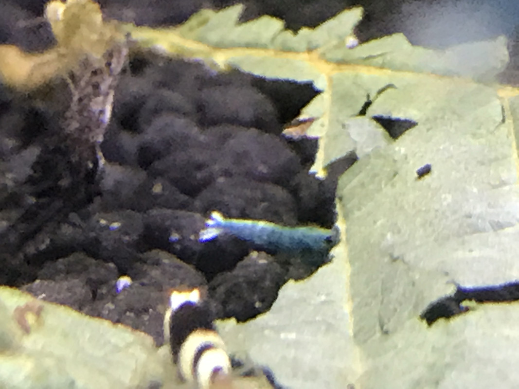 2757448C-2778-4312-AD92-C3B1687EAC45