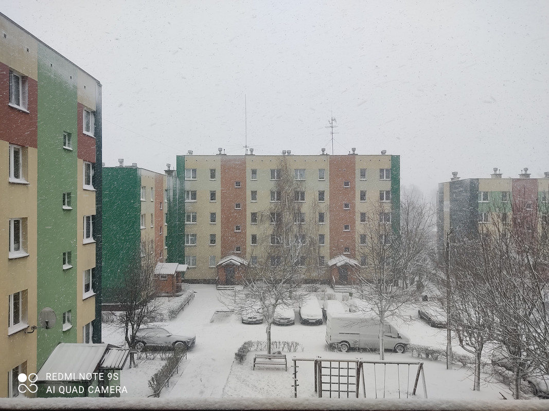 poranek-23-12-2023.jpg