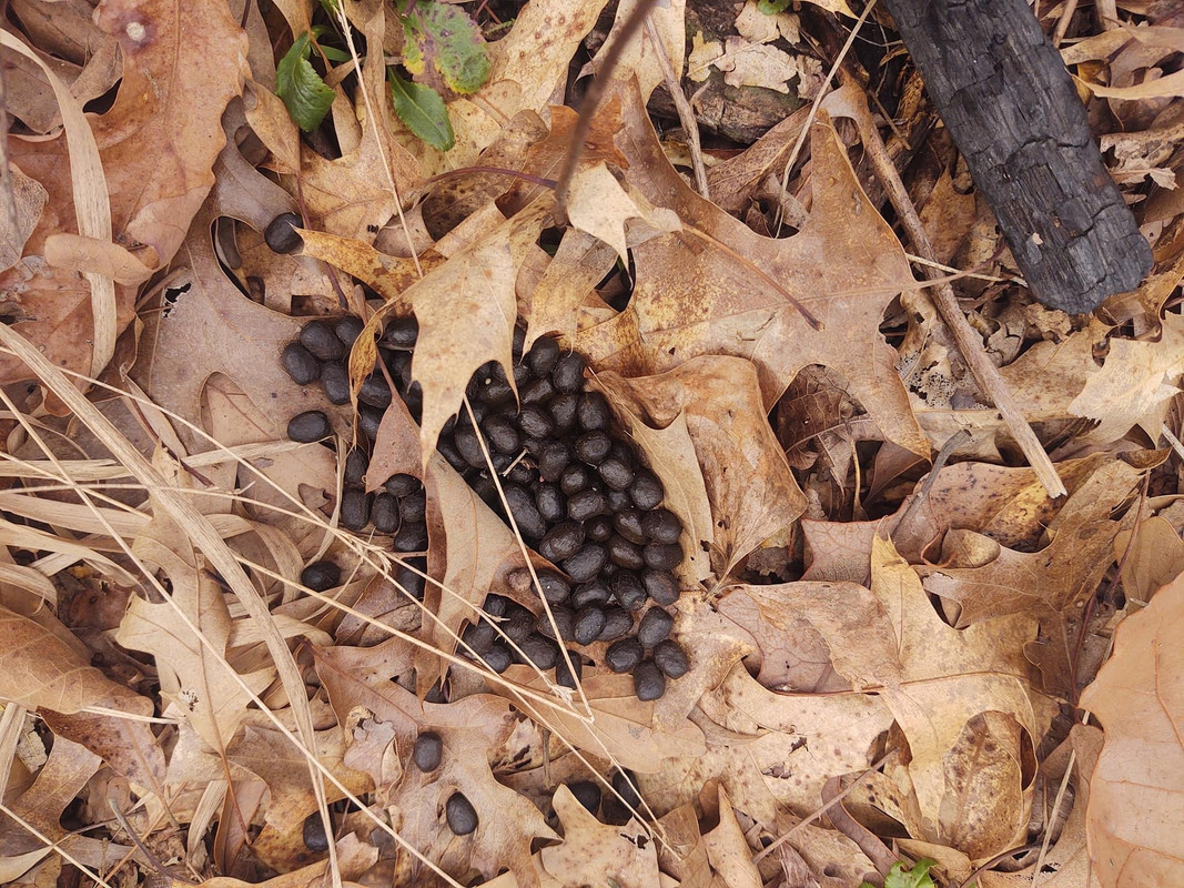 AE479959-2113-4510-BE87-E2FD2EA30F51